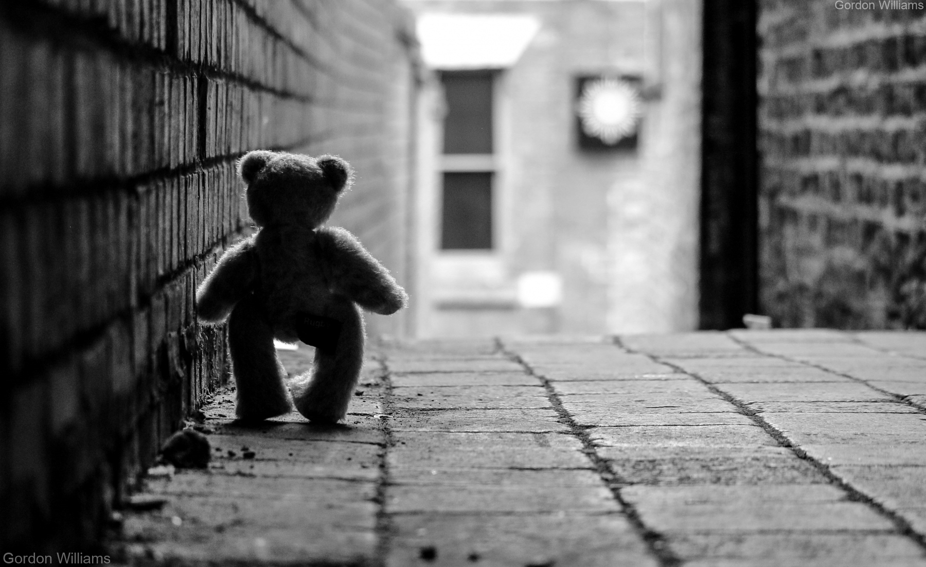 Back alley teddy