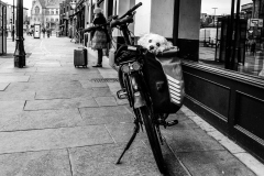 Doggy bag