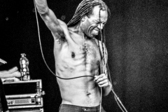 Ranking Roger