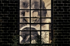 window-to-doors_edited-1-2